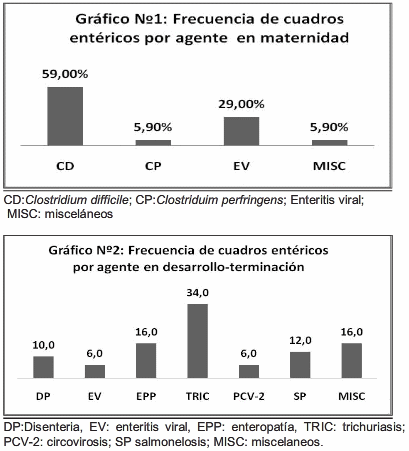 Análisis de los cuadros entéricos en cerdos remitidos al laboratorio de patología especial veterinaria (año 2013) - Image 1