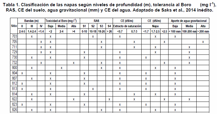 Incidencia de la napa en la productividad de maíz - Image 1