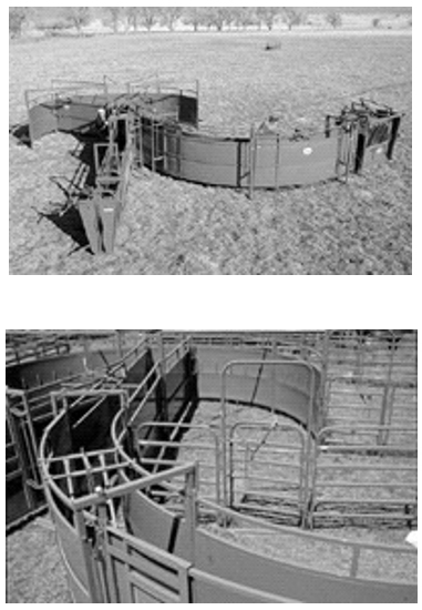El estrés y las instalaciones en Feedlot - Image 5