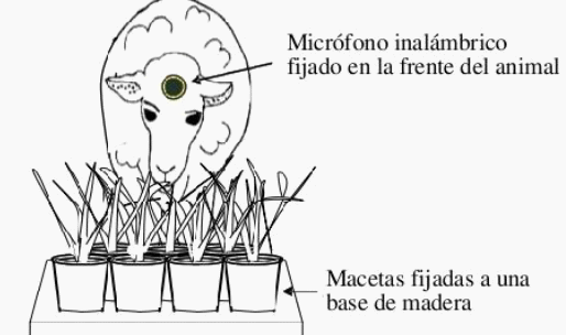 Metodologías para la estimación de la conducta alimentaria de rumiantes en sistemas silvopastoriles - Image 2