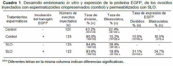 Producción de embriones transgénicos por inyección intracitoplasmática de espermatozoides tratados con estreptolisina - Image 1