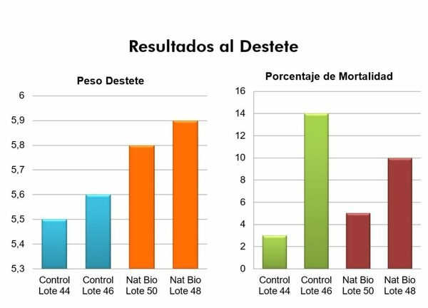 Caso de éxito en Porcinos con Programa Integral Natbio - Image 4