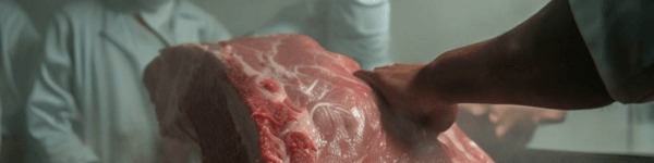 Innovando la Producción de Carne en México: El poder Transformador del Liderazgo - Image 1