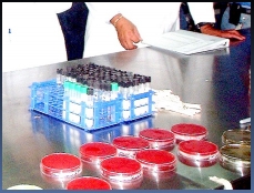 Lista de control para la visita al establo lechero toma correcta de muestras - Image 4