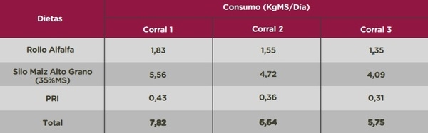 Análisis productivo de recría a corral con el uso de Provant Recría Intensiva - Image 5