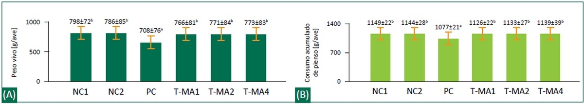 Efecto de un adsorbente de micotoxinas en piensos para pollos de engorde contaminados con toxina T-2 - Image 2