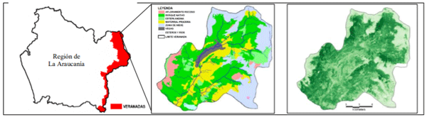 Figura 1. Veranada de Ranquil. Zona norte de la comuna de Lonquimay. Región de La Araucanía.