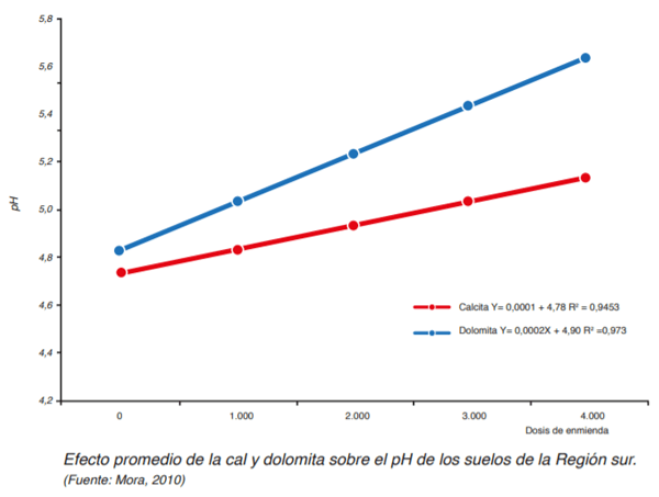 FORRAJERAS - Establecimiento de pasturas y cultivos suplementarios - Image 12