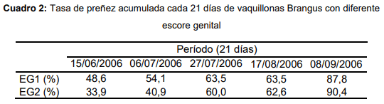 Desempeño reproductivo de vaquillonas Brangus de 17 meses de edad con diferente escore genital - Image 2