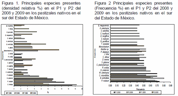Estudio de la diversidad vegetal en los pastizales nativos pastoreados por ganado lechero en el sur del Estado de México. - Image 1