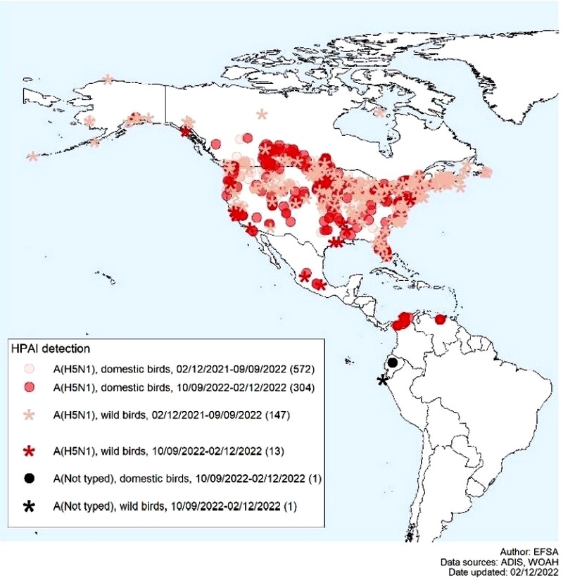 El Desafío más Peligroso en la Industria Avícola: Influenza Aviar. Actualizado el 05/01/2023) - Image 3