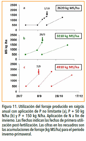 Vuelven las pasturas: Manejo y fertilización para nuevos modelos ganaderos - Image 11