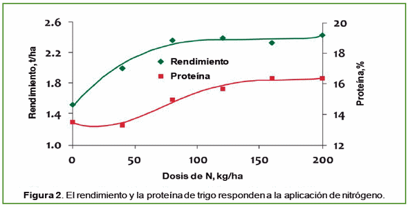 Fertilizar los cultivos para mejorar la Salud Humana: Un estudio científico - Image 3