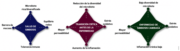 Figura 1 – Estados de salud, transición crítica y cambio en la simbiosis de la microbiota del huésped con el tracto gastrointestinal