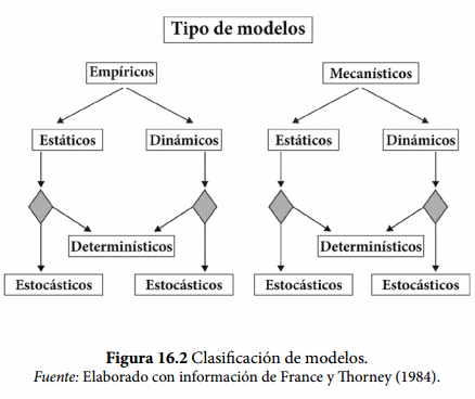 Uso de modelos de simulación en corrales de engorda - Image 2