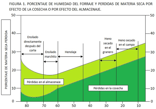 Manejo del (forraje) ensilado - Image 1