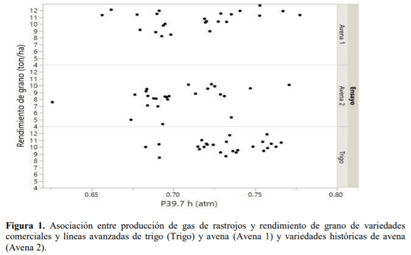 SOCHIPA - EFECTO DEL GENOTIPO DE TRIGO Y AVENA SOBRE EL VALOR NUTRITIVO DE SUS RASTROJOS: II. ASOCIACIÓN CON RENDIMIENTO DE GRANO - Image 1