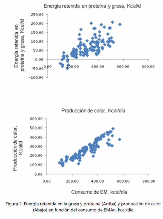 Predicción del requerimiento de energía en pollos de engorda - Image 4
