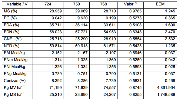 Producción y calidad nutricional en ensilados de tres variedades de maíz - Image 1