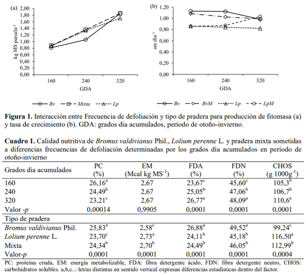 SOCHIPA - CRECIMIENTO Y CALIDAD NUTRITIVA DE Bromus valdivianus Phil. Y Lolium perenne L. SOLOS Y EN MEZCLA: EFECTO DE LA FRECUENCIA DE DEFOLIACIÓN EN OTOÑO – INVIERNO - Image 1
