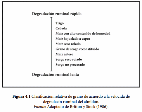 Tasa de digestión del almidón - Image 1