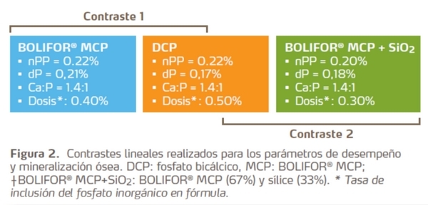 La importancia práctica del sistema de evaluación de la utilización del fósforo - Image 1