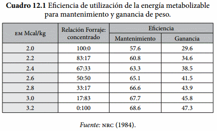 Requerimientos Nutricionales - Image 1