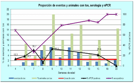 Diagnóstico temprano de mycoplasma hyopneumoniae mediante Clinimetria, PCR y Elisa - Image 1