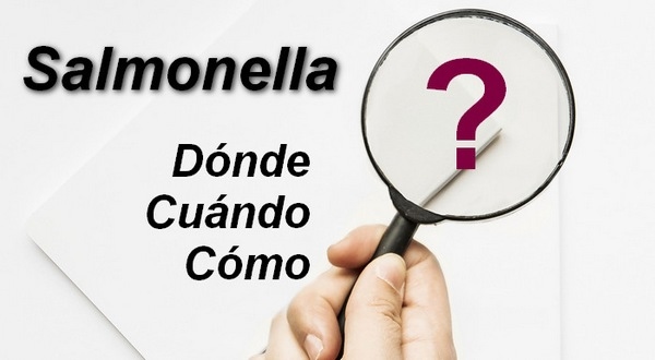 Monitorear Salmonella en la industria alimenticia: Dónde, Cuándo y Cómo - Image 1