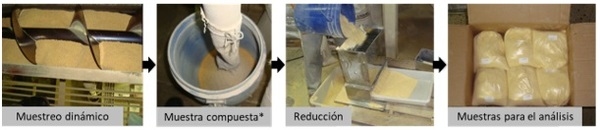 Muestreo para el análisis de micotoxinas - Image 7
