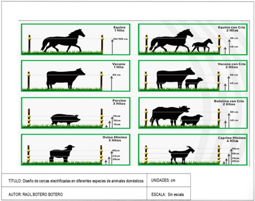 FIGURA 5.