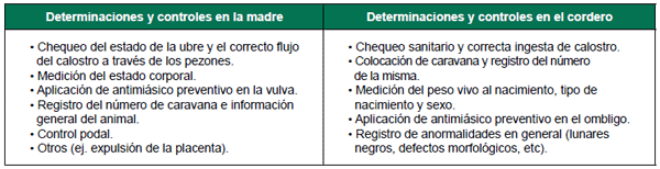Alternativas tecnológicas para aumentar la supervivencia de corderos: 