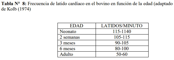 Obstetricia y neonatología bovina: XIV. Neonatología Bovina - Image 1
