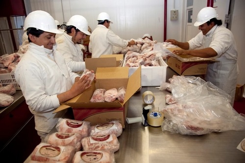 Industria porcina: la gran oportunidad global de la Argentina - Image 1