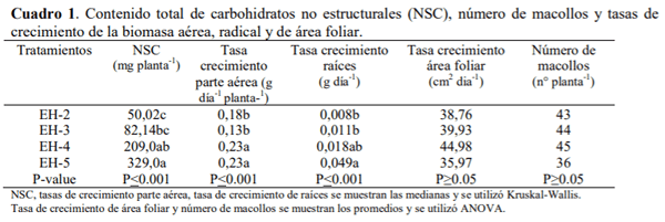 SOCHIPA - EFECTO DE LA FRECUENCIA DE DEFOLIACIÓN SOBRE LOS CARBOHIDRATOS NO ESTRUCTURALES Y PARÁMETROS DE CRECIMIENTO EN Bromus valdivianus PHIL. - Image 1