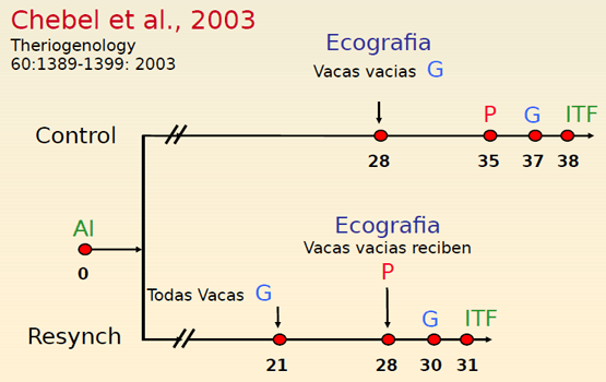 Eficiencia Reproductiva en el Ganado Lechero y su Recuperación Económica - Image 19