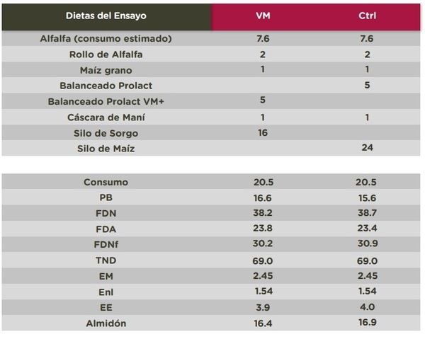 Prolact VM+ - Más leche todo el año - Image 2