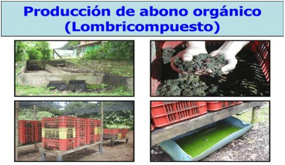 BOTERO - CAPÍTULO VI: PRODUCCIÓN DE ABONOS ORGÁNICOS, COMO ESTRATÉGIA PARA REDUCIR LA CONTAMINACIÓN AMBIENTAL COMO PRODUCTO DE LA GANADERÍA TROPICAL OPCIONES PARA EL MANEJO PRODUCTIVO DE EXCRETAS EN SISTEMAS GANADEROS TROPICALES - Image 2