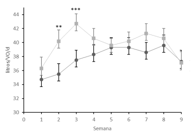 Fig. 1. Producción de leche (litros/VO/d) de multíparas según tratamiento a lo largo de las semanas de lactación (*; p< 0.05; **p< 0.01; ***p< 0.001; ns sin diferencias). Barras verticales indican desvío estándar. 