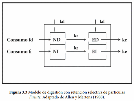 Modelos de digestión ruminal del almidón - Image 6