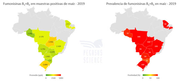 Micotoxinas en maíz: Brasil año 2019 - Image 6