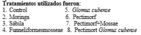 Respuesta productiva de la Stevia rebaudiana Bertoni a la aplicación de HMA y hormonas naturales, una opción para la producción animal - Image 1