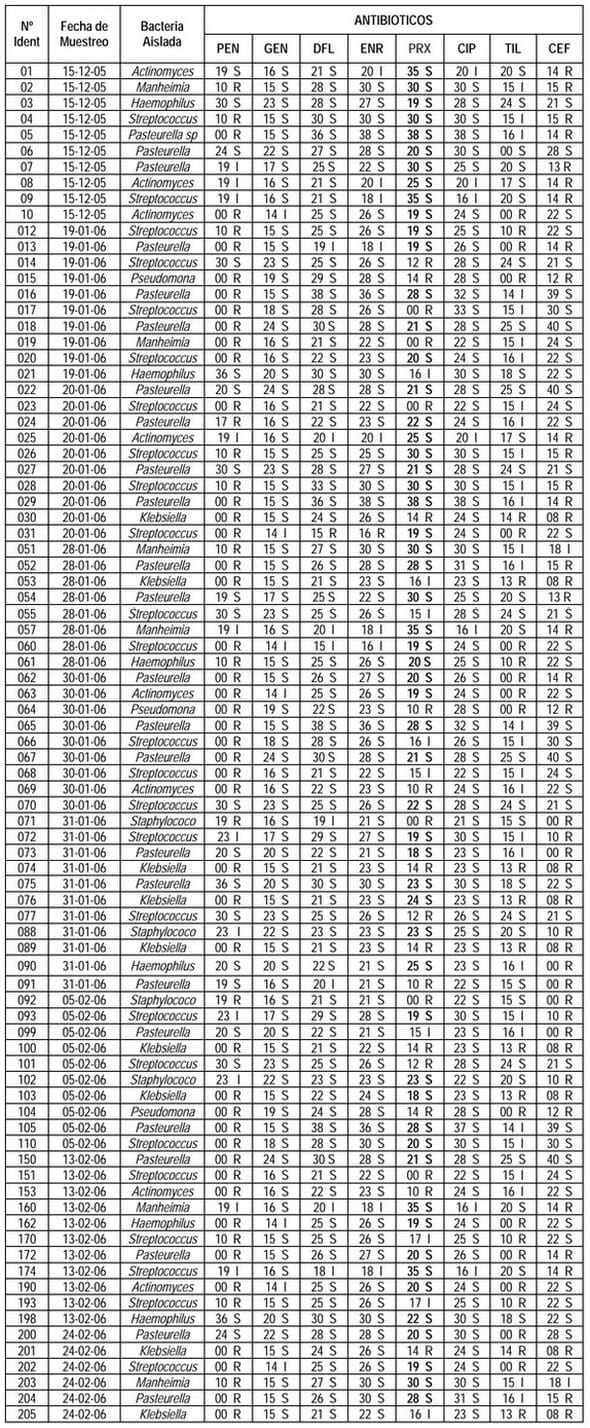 Evaluación de la Efectividad in vitro del Proxifen® 23 L.A (Oxitetraciclina con Ketoprofeno) contra agentes bacterianos causantes de la Enfermedad Respiratoria en Bovinos - Image 2