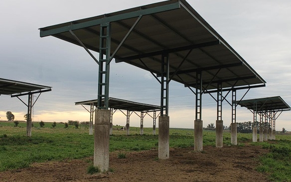 Manejo del ambiente físico para atenuar la producción de calor - Image 12