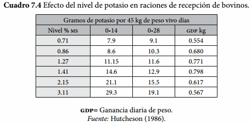 Programas de Recepción - Image 4