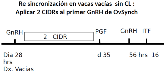 Eficiencia Reproductiva en el Ganado Lechero y su Recuperación Económica - Image 23