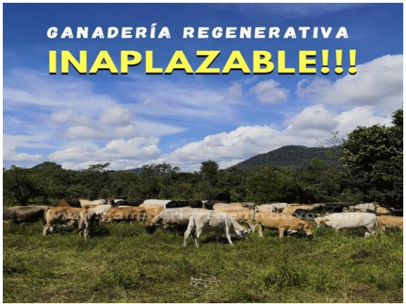 BOTERO - CAPÍTULO IX PASTOREO RACIONAL INTENSIVO VOISIN UNA OPCIÓN PARA INTENSIFICAR Y HACER MÁS AMIGABLE CON EL AMBIENTE LA PRODUCCIÓN CON RUMIANTES EN PASTOREO EN EL TRÓPICO - Image 50