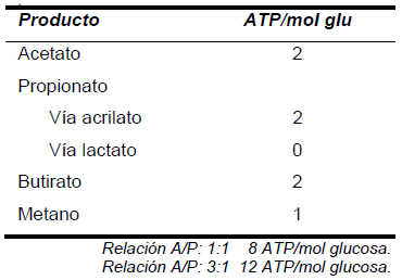 Cuadro 4. Disponibilidad de energía según producto la fermentación.