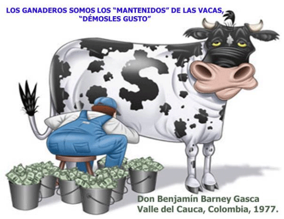 BOTERO - CAPÍTULO IX PASTOREO RACIONAL INTENSIVO VOISIN UNA OPCIÓN PARA INTENSIFICAR Y HACER MÁS AMIGABLE CON EL AMBIENTE LA PRODUCCIÓN CON RUMIANTES EN PASTOREO EN EL TRÓPICO - Image 52