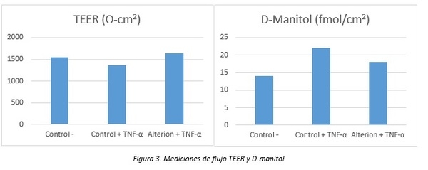 Bacillus subtilis 29784: cepa específica que garantiza beneficios anti-inflamatorios a las moléculas mejoradoras de desempeño - Image 3